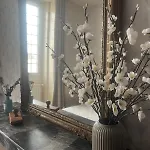 Du Chateau Жонзак