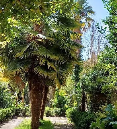 Apartmán Du Chateau *